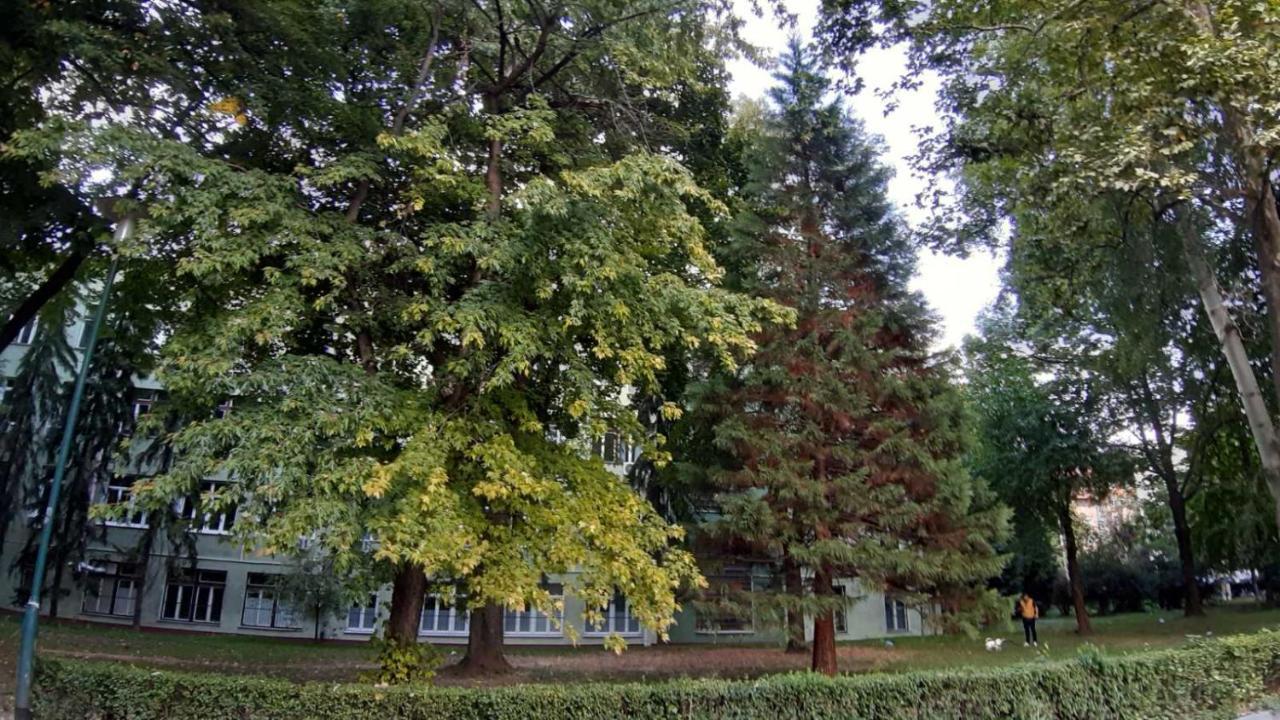 Apartament Illusion New Sarajewo Zewnętrze zdjęcie